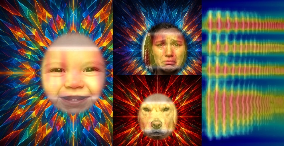 Teaser image for the artwork titled "When Machines Feel: Visualizing Artificial Emotion Perception"